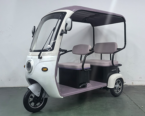 HH800DZK-2R 淮海牌纯电动前鼓式后鼓式电动正三轮摩托车图片