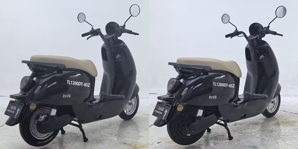 TL1200DT-65Z 台铃牌纯电动前盘式后盘式/鼓式电动两轮摩托车图片