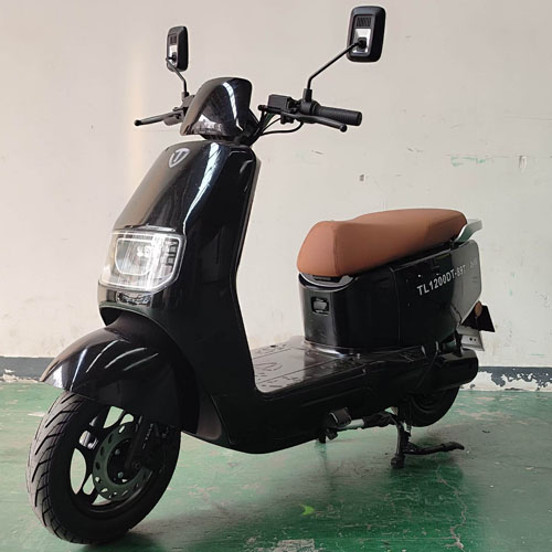 TL1200DT-89T 台铃牌纯电动前盘式后盘式/鼓式电动两轮摩托车图片