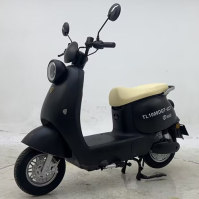 电动两轮轻便摩托车