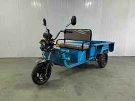 电动正三轮摩托车