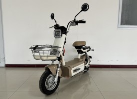 电动两轮轻便摩托车