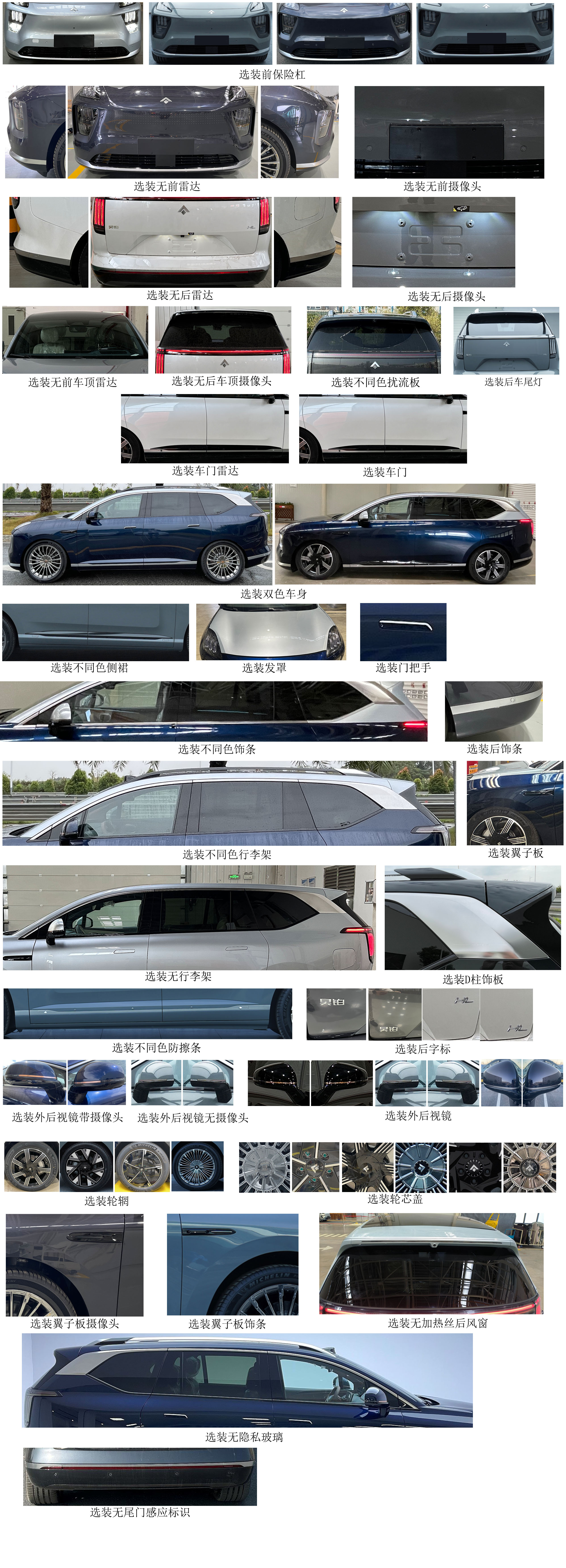纯电动多用途乘用车图片