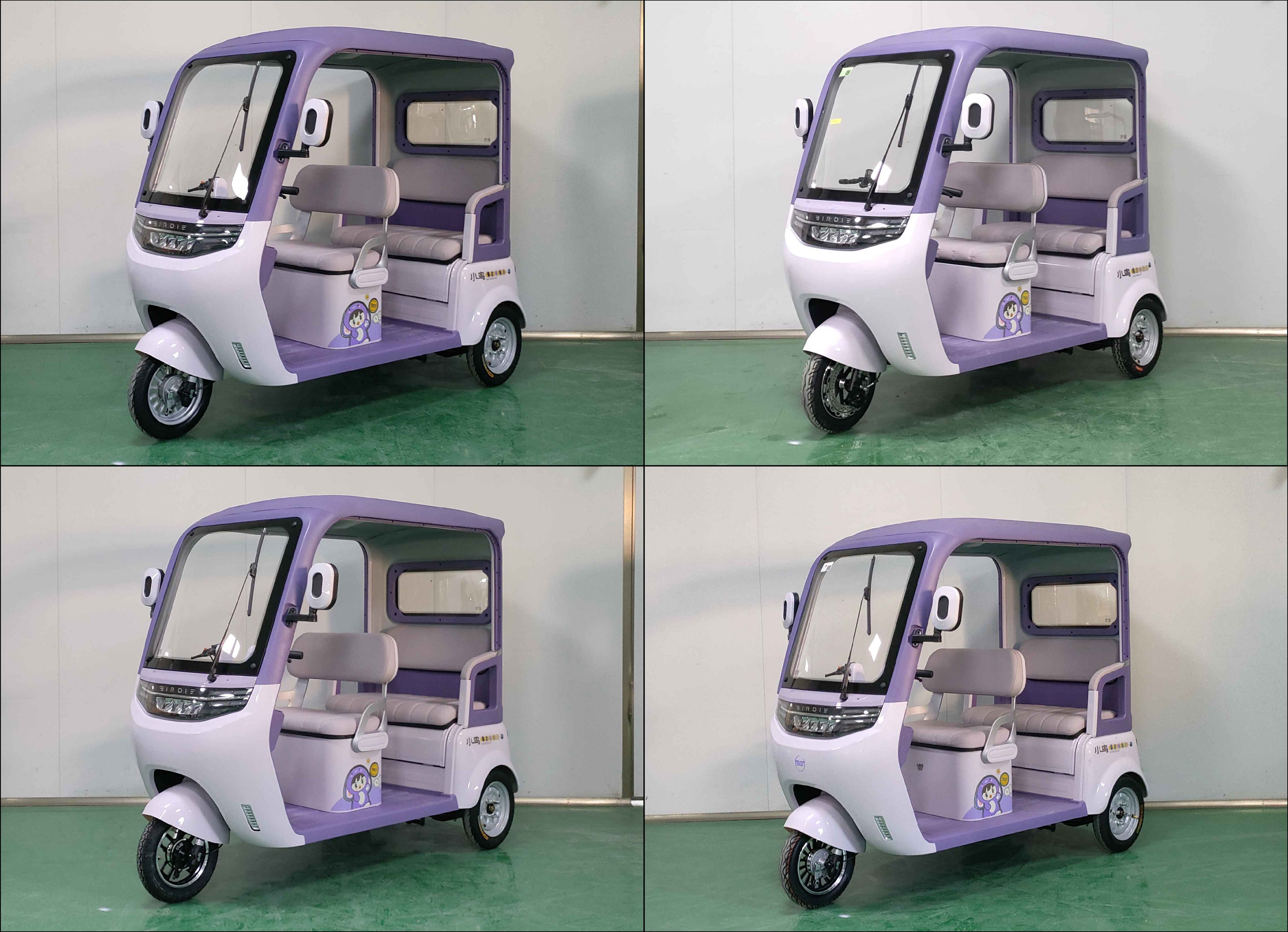 XN1500DZK-5E 小鸟牌纯电动前盘式/鼓式后鼓式电动正三轮摩托车图片