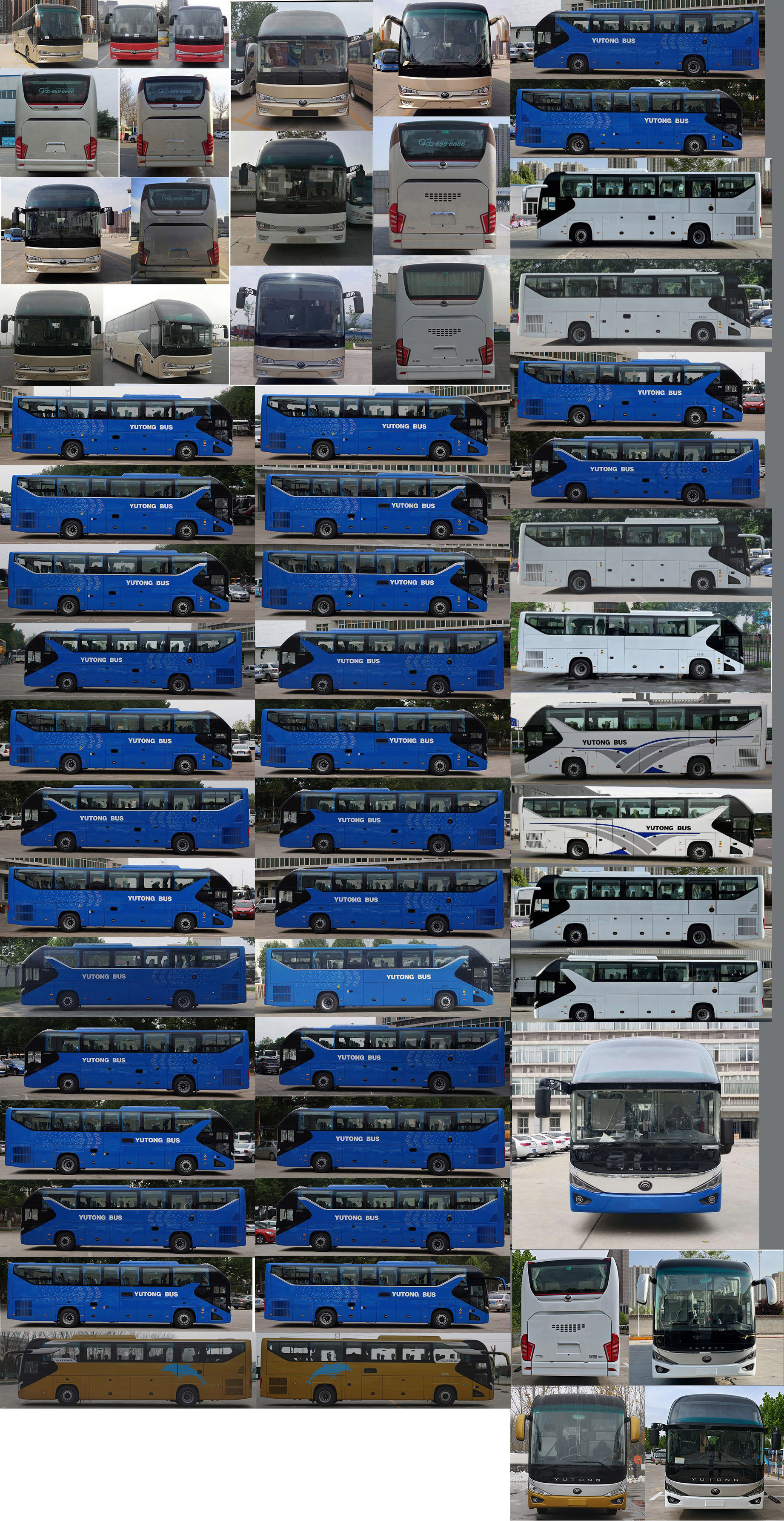宇通牌ZK6128H6QY1客车公告图片