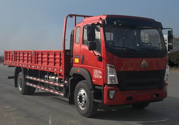 豪沃牌ZZ1167K521DF1B载货汽车图片