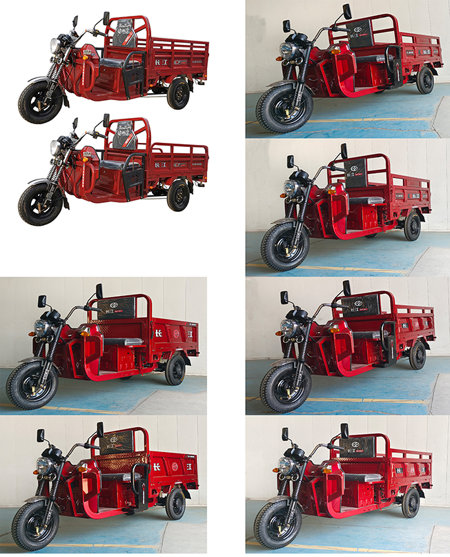 长江牌CJ1500DZH-4电动正三轮摩托车公告图片