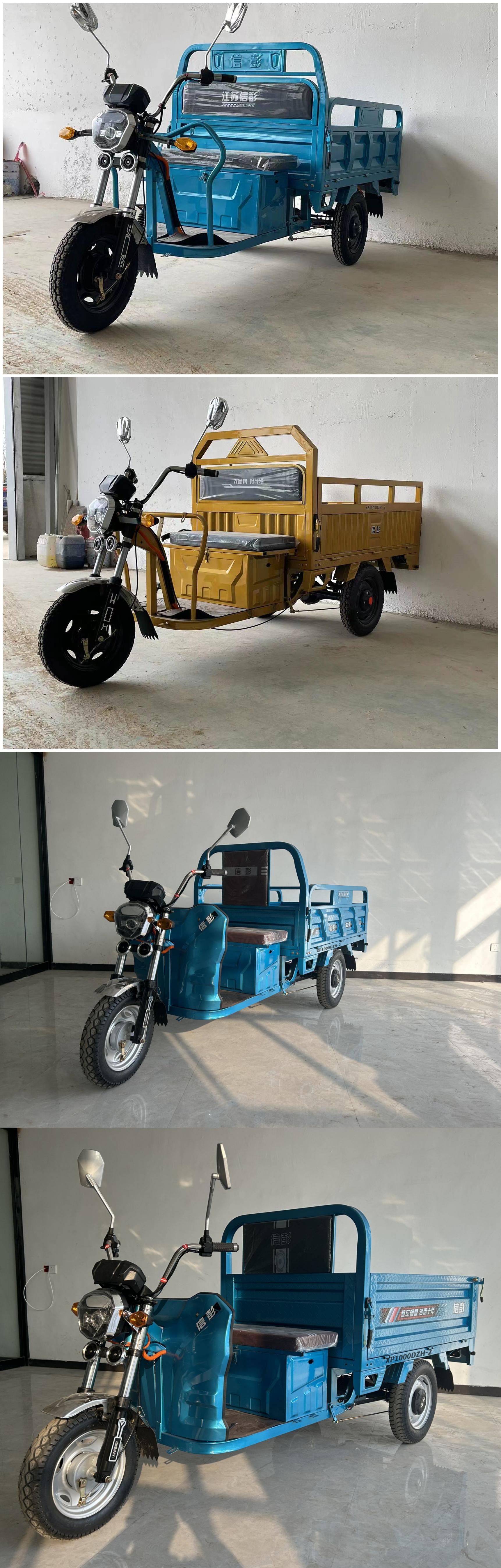 信彭牌XP1000DZH-2电动正三轮摩托车公告图片