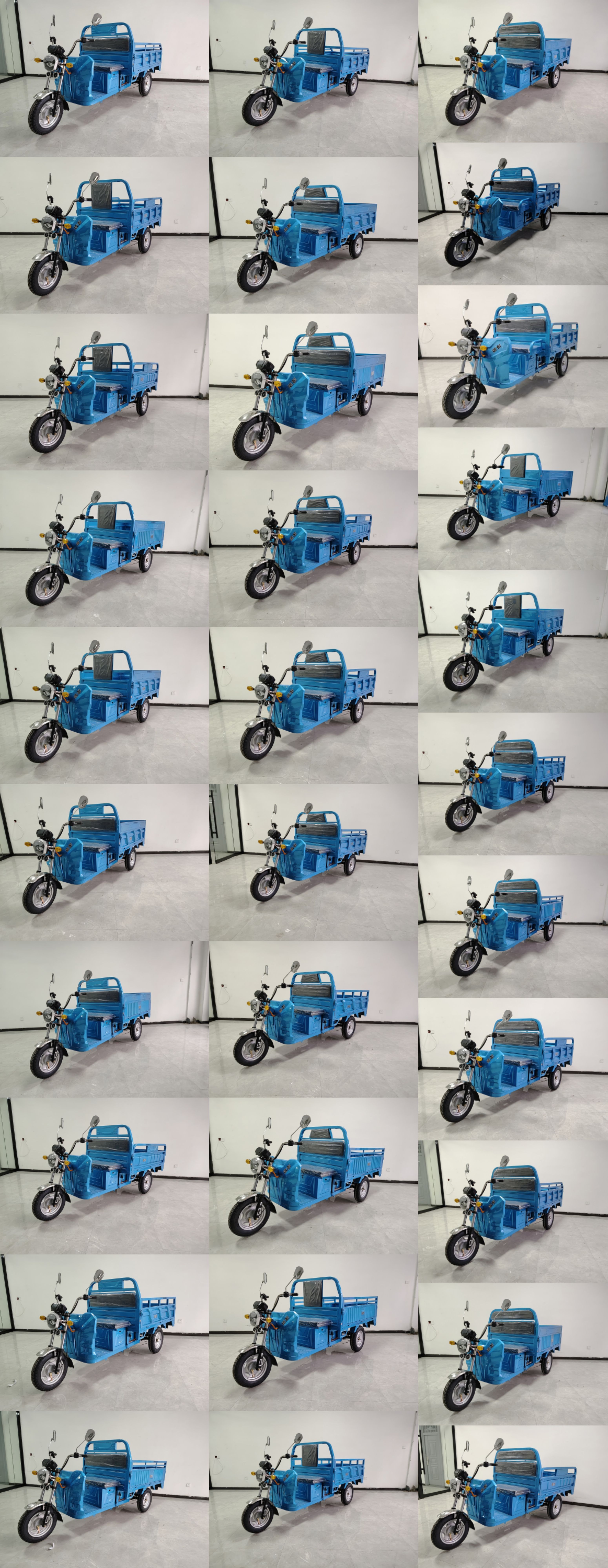 信彭牌XP1000DZH-2电动正三轮摩托车公告图片