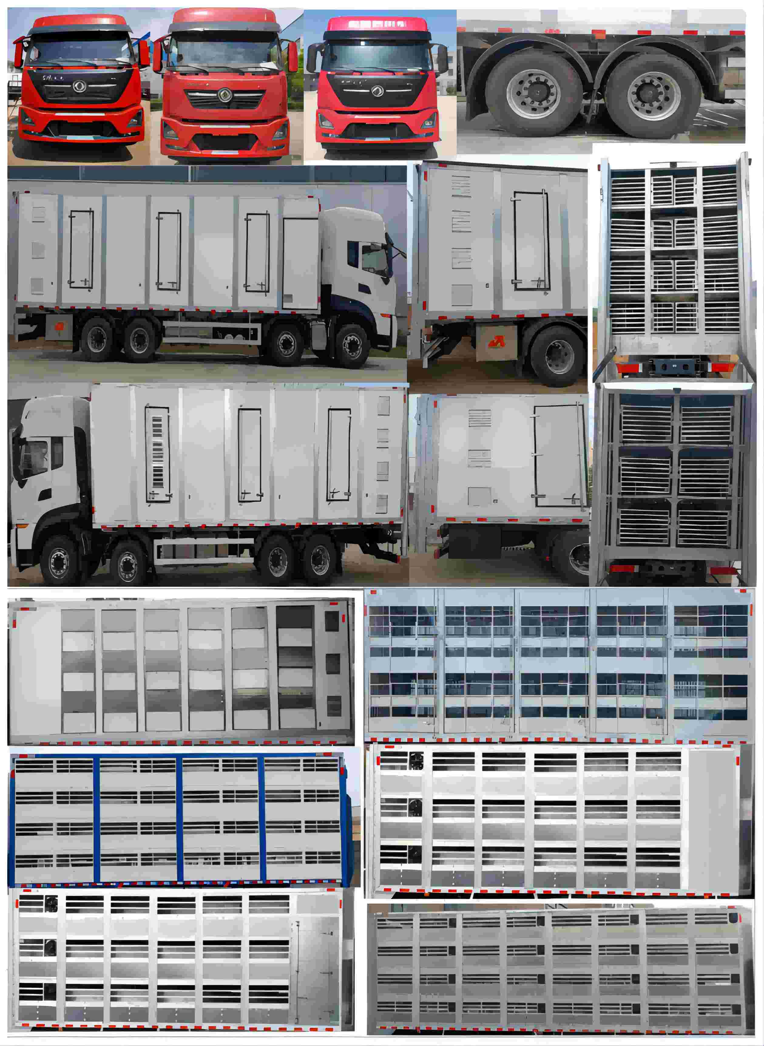 牧安达牌SDM5310XCQ雏禽运输车公告图片