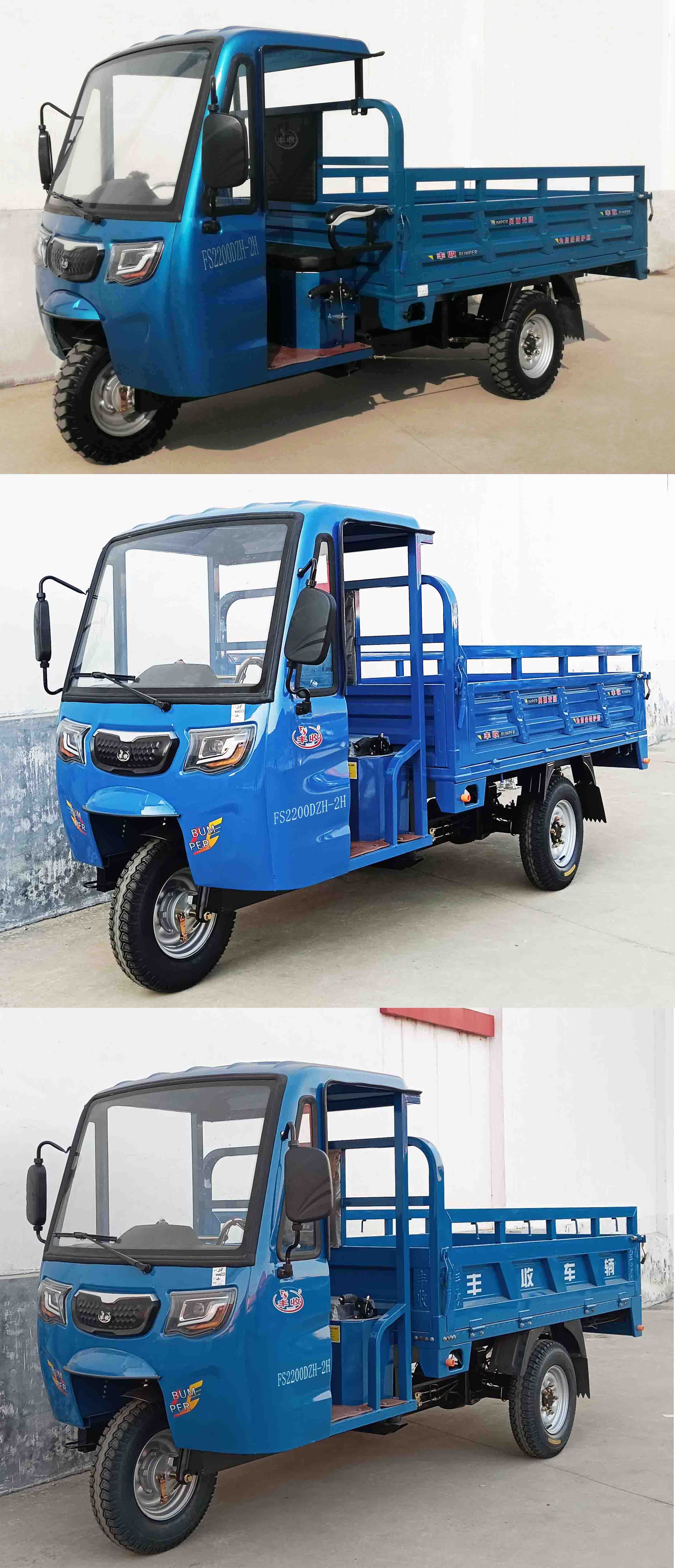 FS2200DZH-2H 丰收牌纯电动前鼓式后鼓式电动正三轮摩托车图片