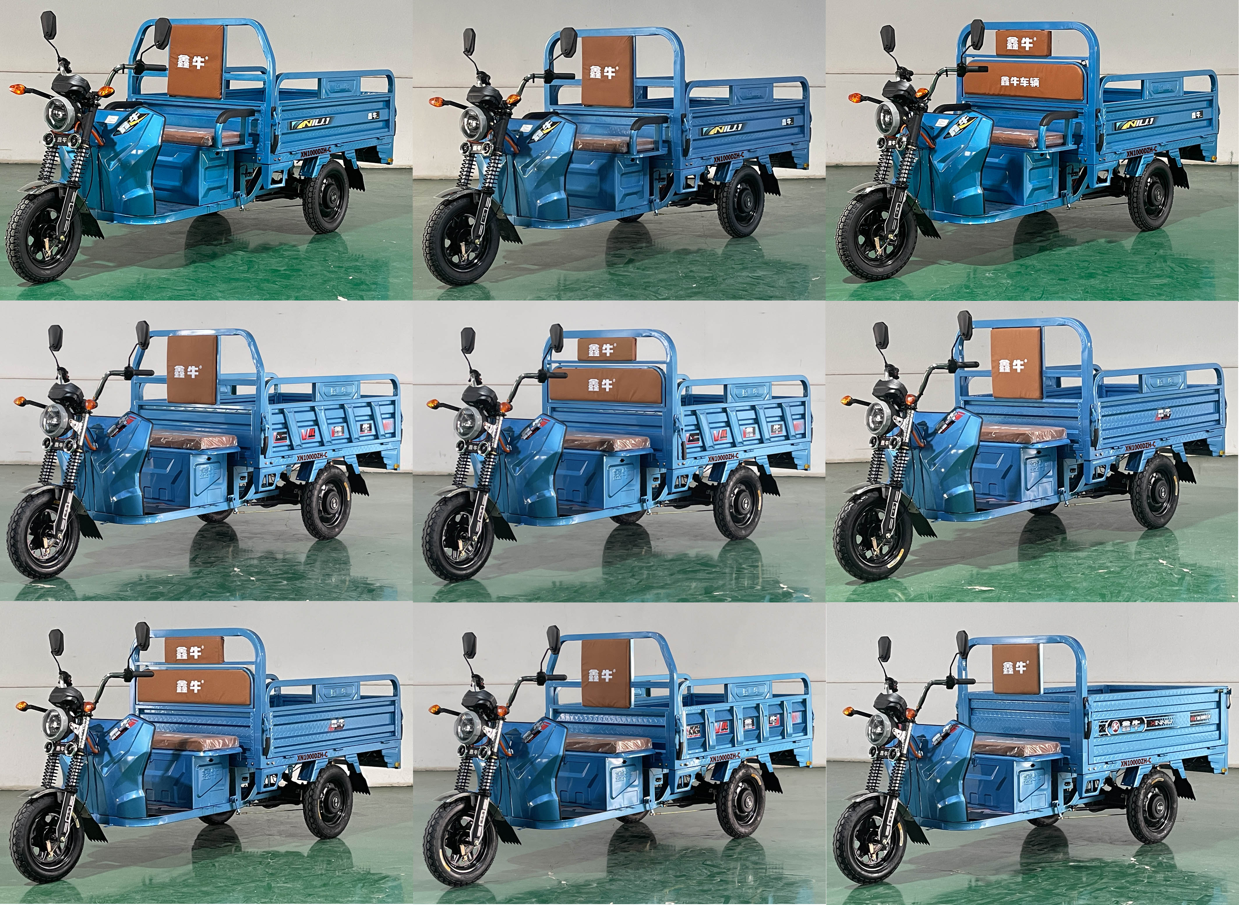 鑫牛牌XN1000DZH-C电动正三轮摩托车公告图片