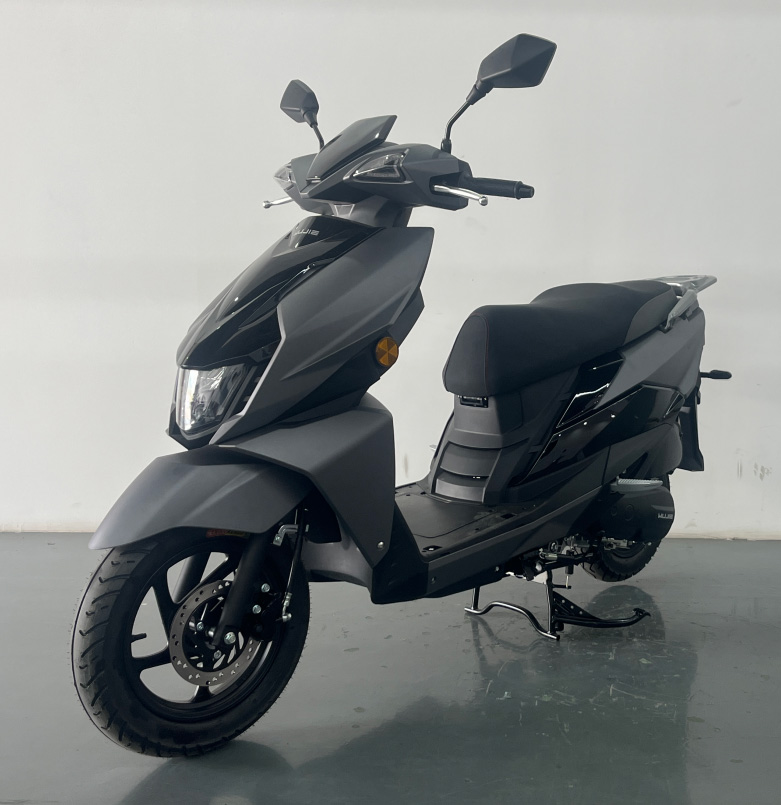 無堺牌WJ110T-5A两轮摩托车公告图片