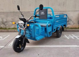 电动正三轮摩托车