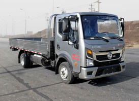 轻型载货汽车