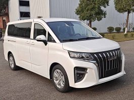 纯电动多用途乘用车