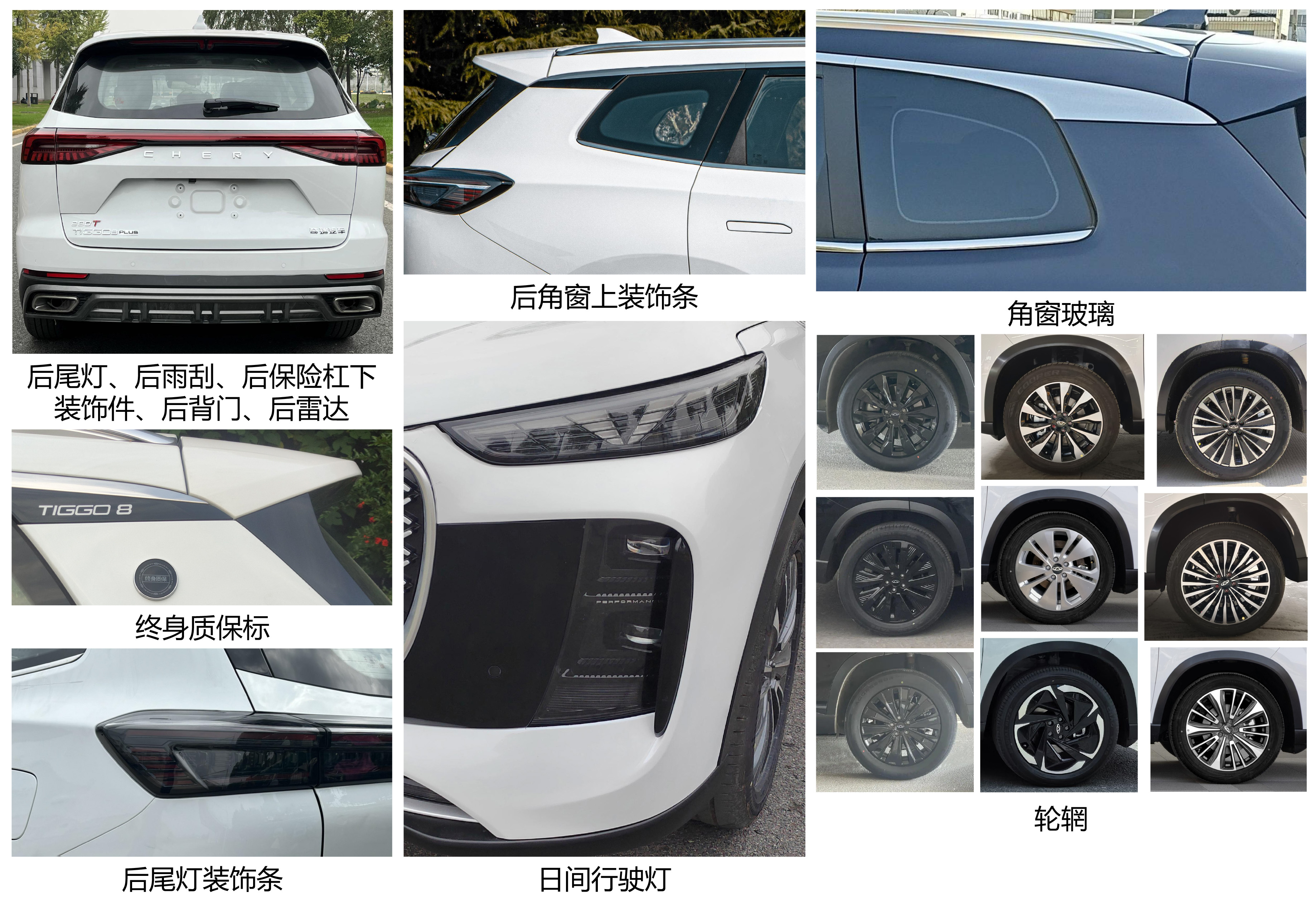 多用途乘用车图片