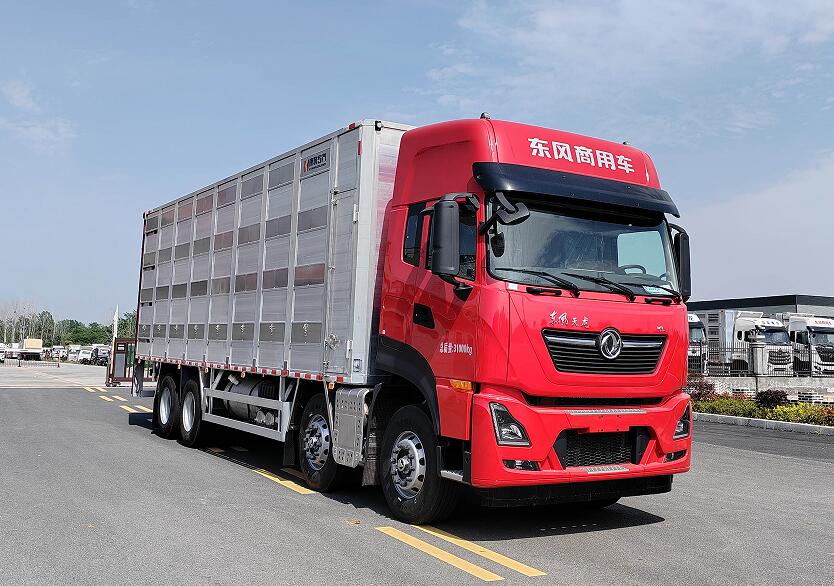 康牧晨远牌KMH5310CCQD6畜禽运输车