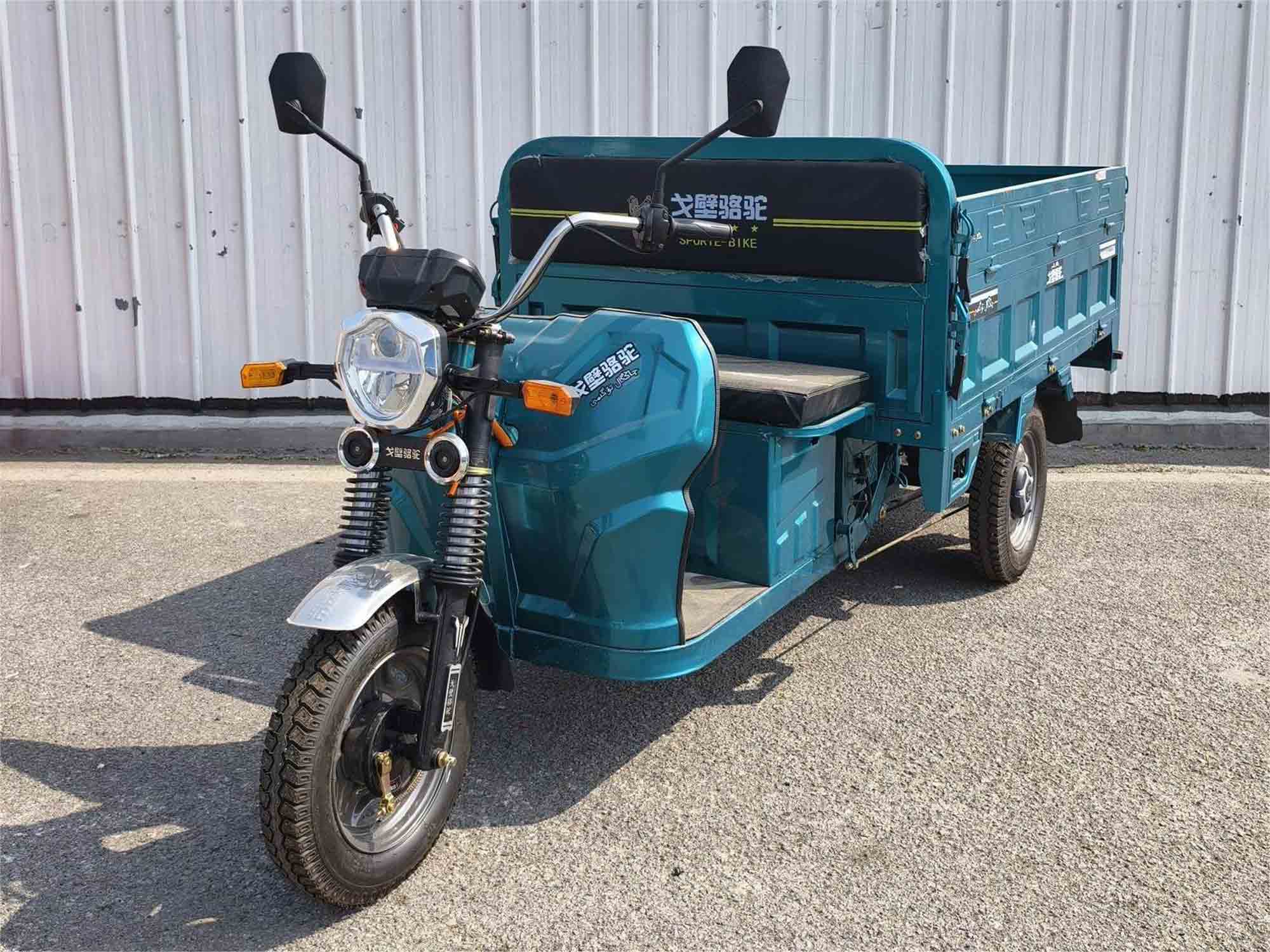 戈壁骆驼牌LT1000DZH-2电动正三轮摩托车图片