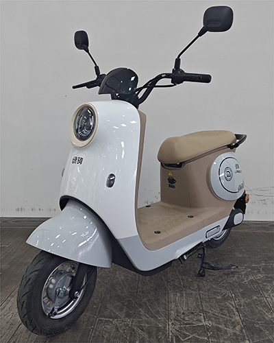 LJ1000DT-11 绿驹牌纯电动前盘式/鼓式后鼓式电动两轮摩托车图片