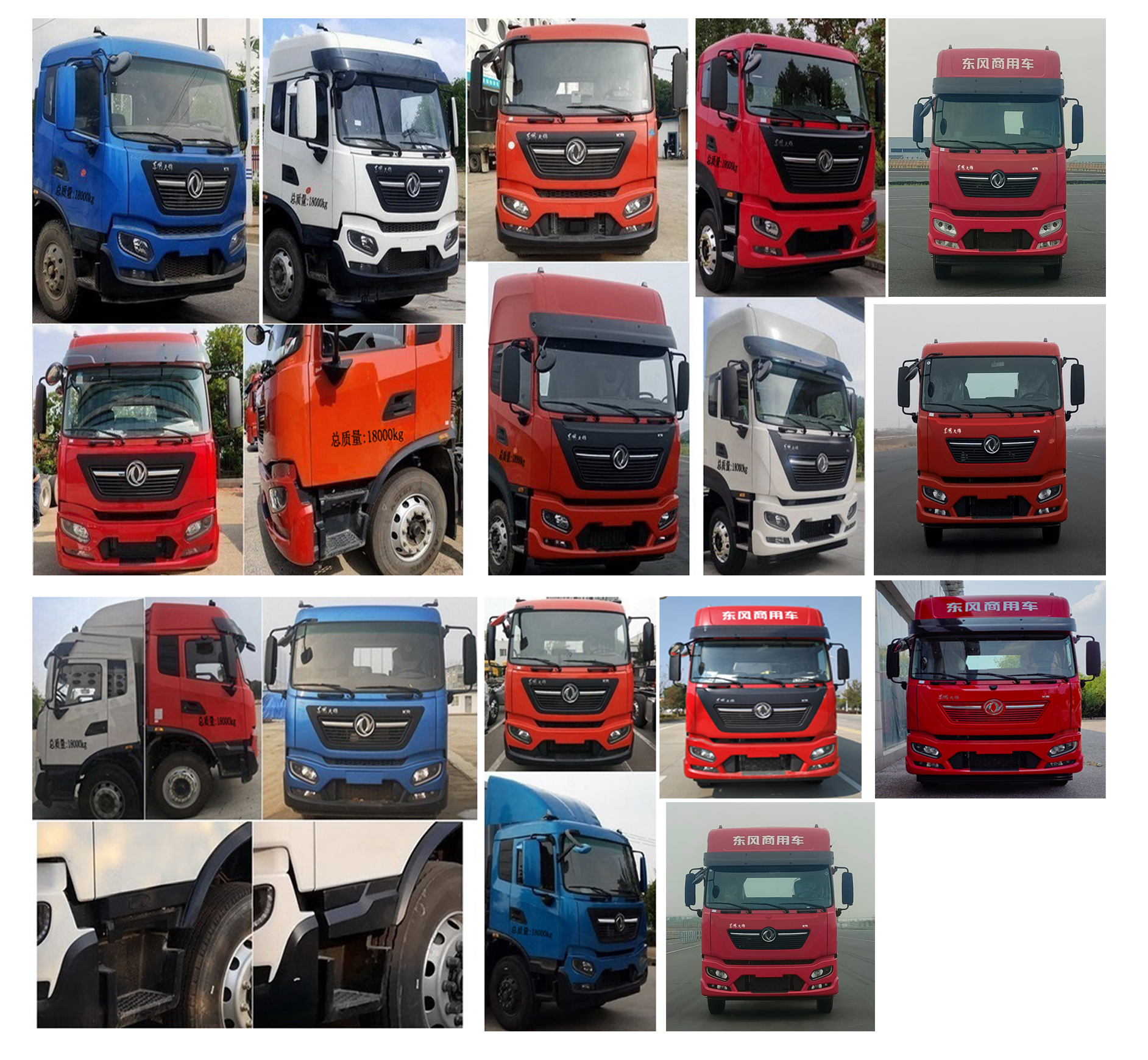 康牧晨遠(yuǎn)牌KMH5180XCQD6雛禽運(yùn)輸車(chē)公告圖片