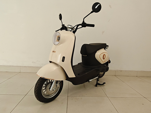 OP1200DT-21 欧派牌纯电动前盘式/鼓式后鼓式电动两轮摩托车图片