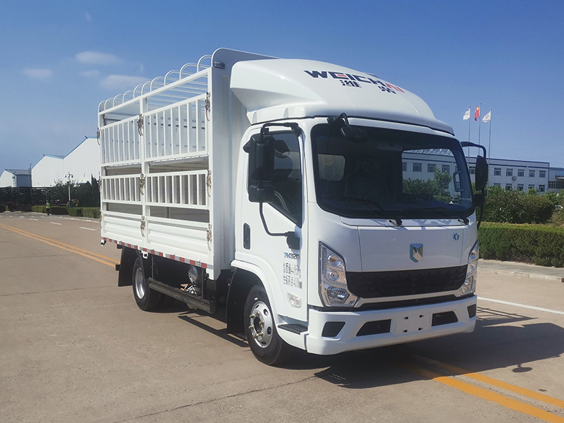蓝擎牌YTQ5042CCYJFEV341-LQ纯电动仓栅式运输车