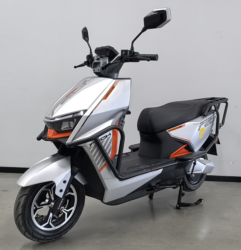 金箭牌JJ1200DT-74电动两轮摩托车公告图片