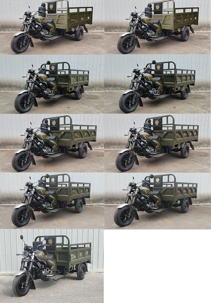 万虎牌WH150ZH-36正三轮摩托车公告图片