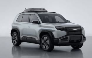 纯电动多用途乘用车