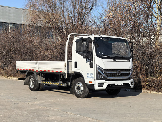 凯马牌 156马力 纯电动载货汽车(KMC1042BEVE336M3)