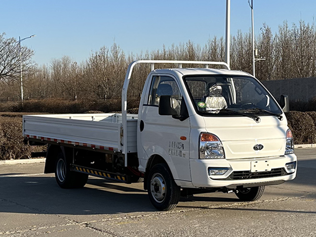 凯马牌 143马力 纯电动载货汽车(KMC1040BEVA318X1)