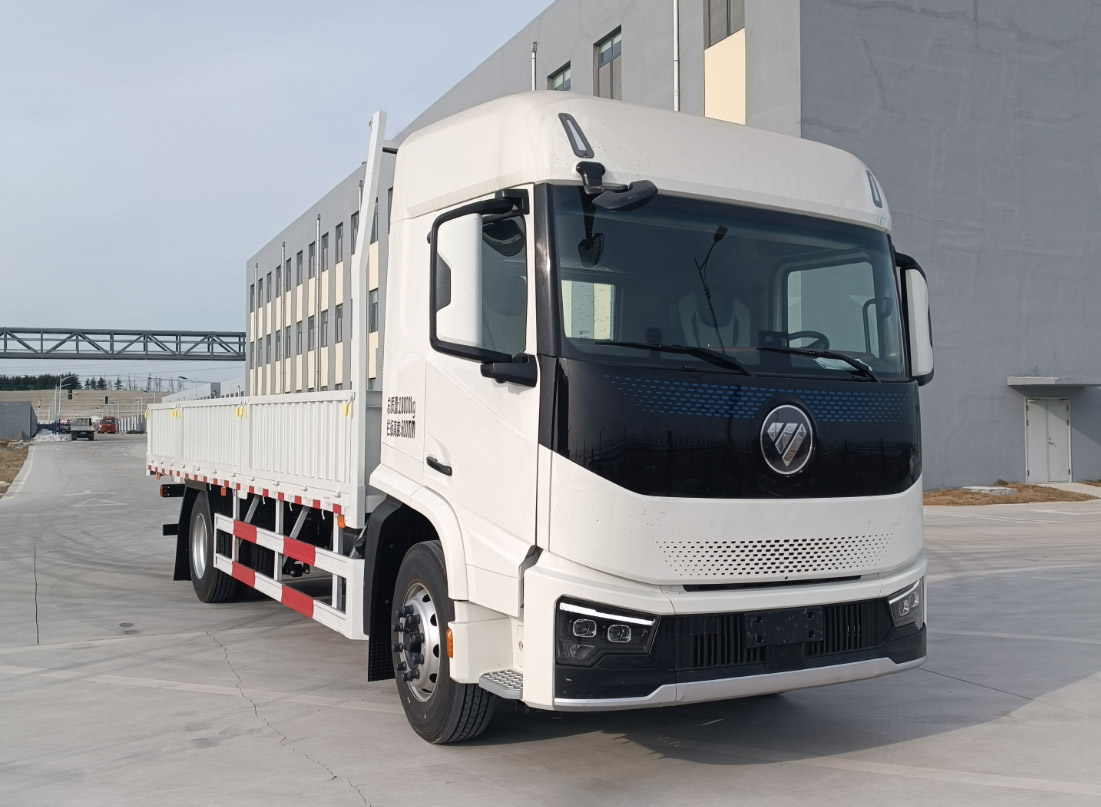 欧曼牌 260马力 载货汽车(BJ1181Y6AKL-02)