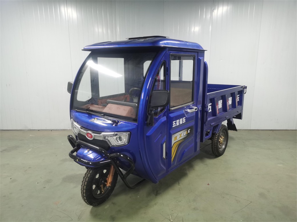 五星福乐牌WX1500DZH-6B电动正三轮摩托车图片