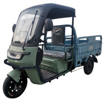 电动正三轮摩托车