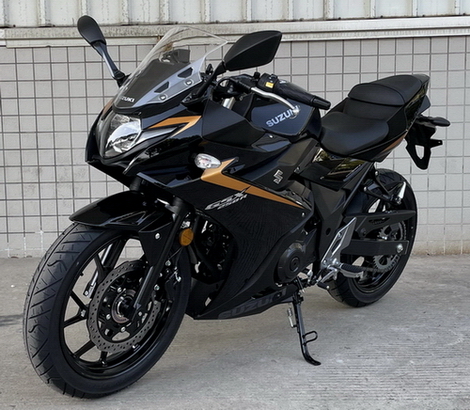 GSX250R-A 铃木牌248CC汽油前盘式后盘式两轮摩托车图片