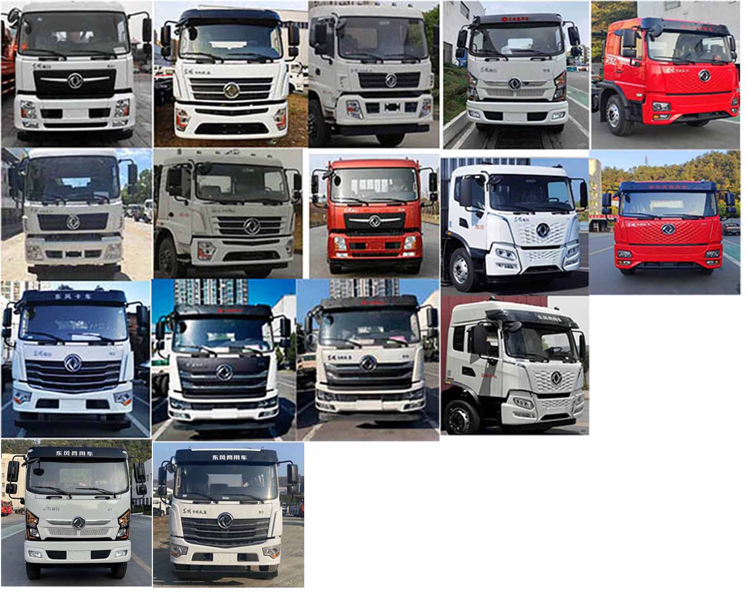 潤知星牌SCS5186GPSDFV6綠化噴灑車公告圖片