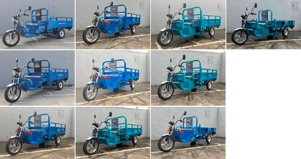 千思鸟牌QSN2200DZH-2D电动正三轮摩托车公告图片