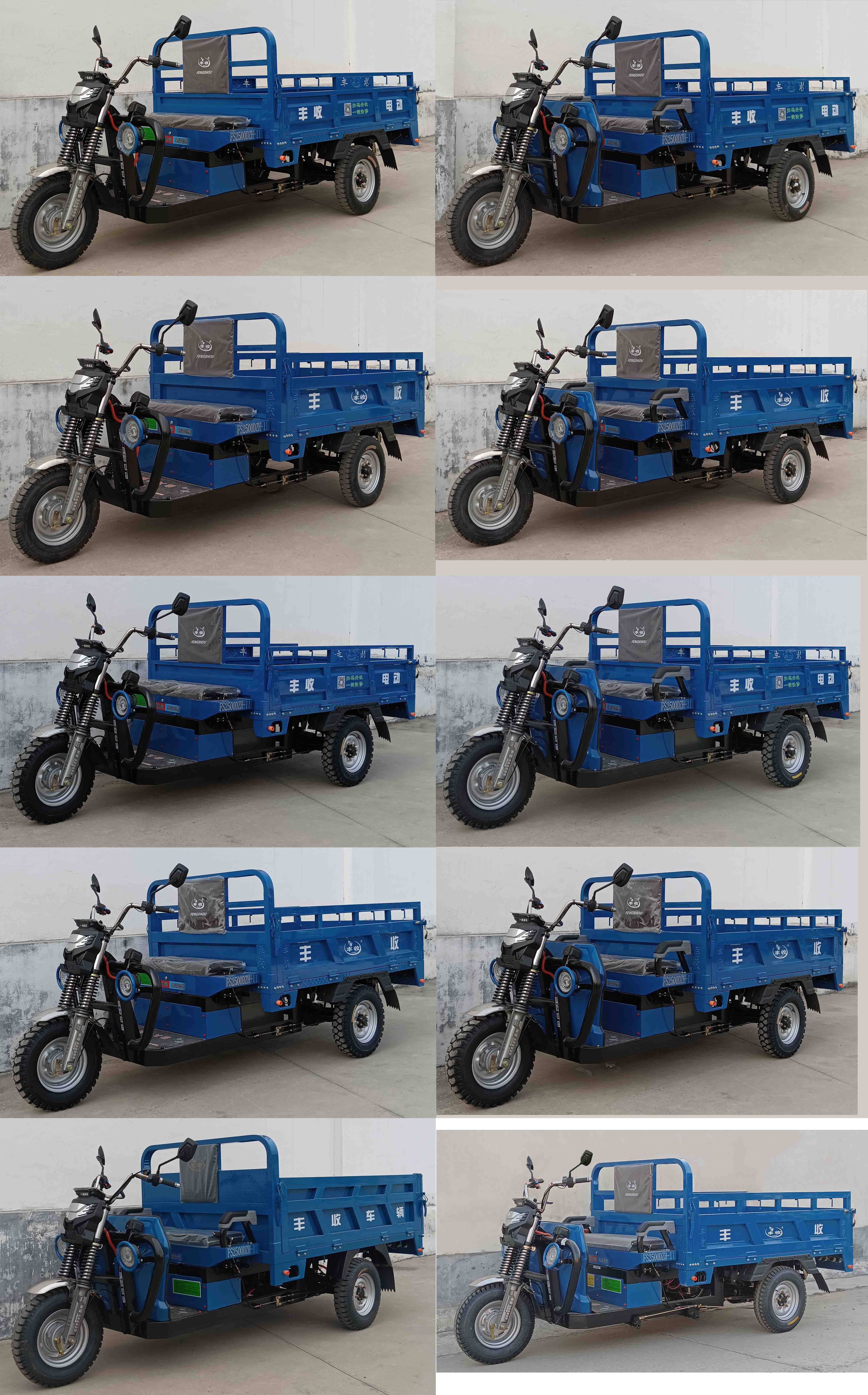 FS2500DZH-11 丰收牌纯电动前鼓式后鼓式电动正三轮摩托车图片