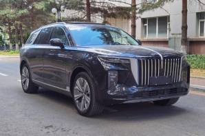 纯电动多用途乘用车