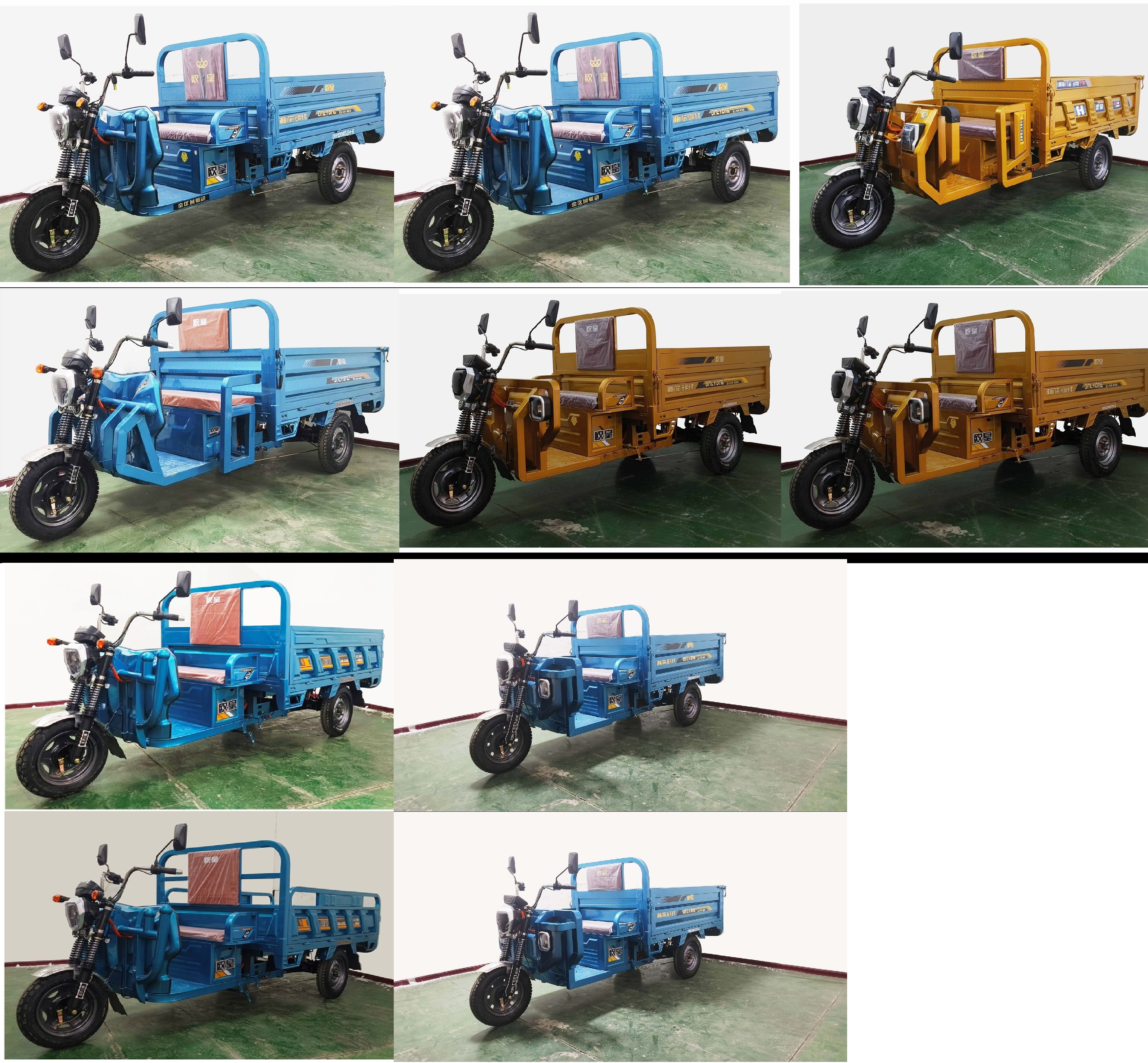 欧皇牌OH1200DZH-6电动正三轮摩托车公告图片