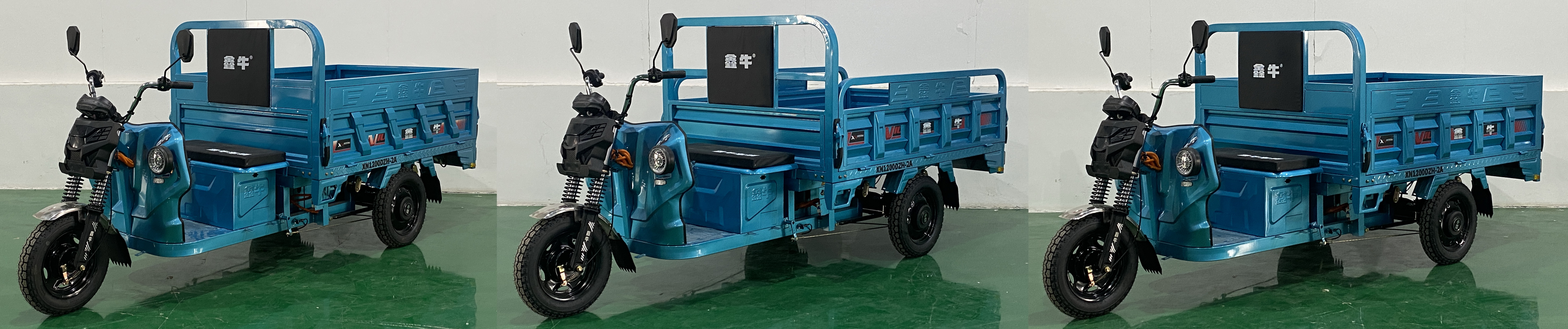 鑫牛牌XN1200DZH-2A电动正三轮摩托车公告图片
