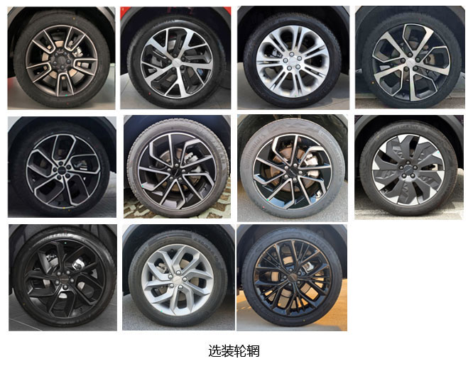 多用途乘用车图片