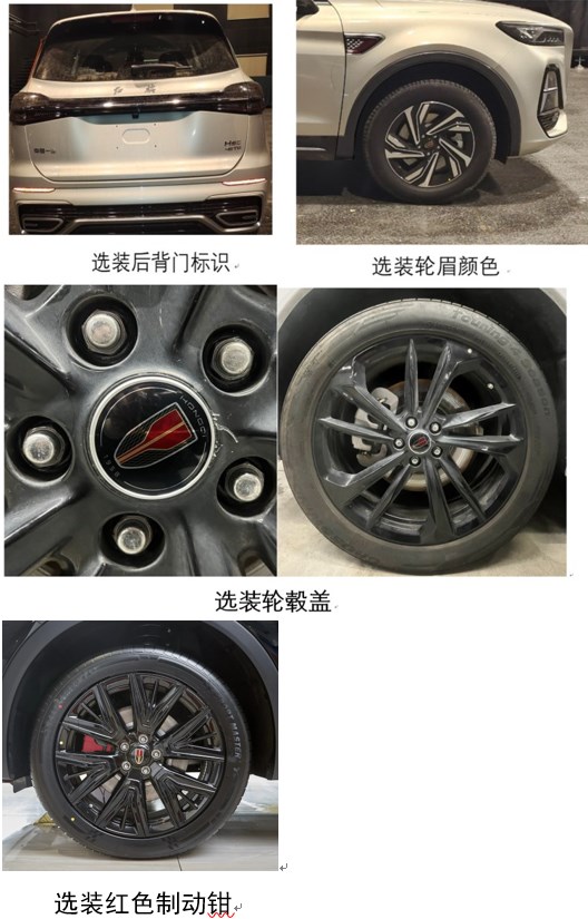 红旗牌CA6483HA6TC多用途乘用车公告图片
