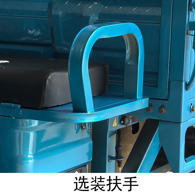 WY1200DZH-6A 五羊牌纯电动前鼓式后鼓式电动正三轮摩托车图片