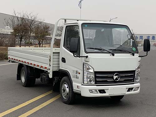 凯马牌 122马力 载货汽车(KMC1037QA280DP6B)