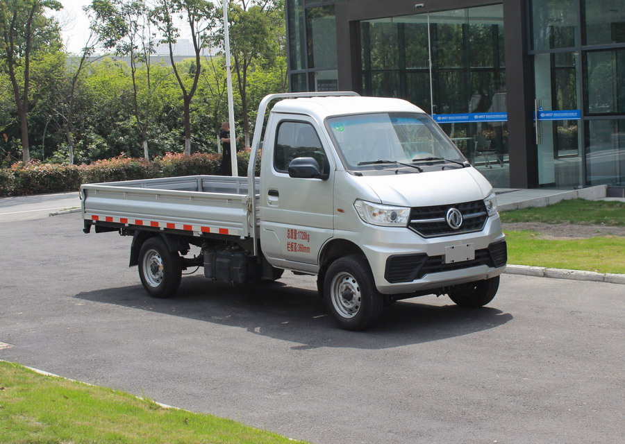 东风牌EQ1020S60Q4A轻型载货汽车图片