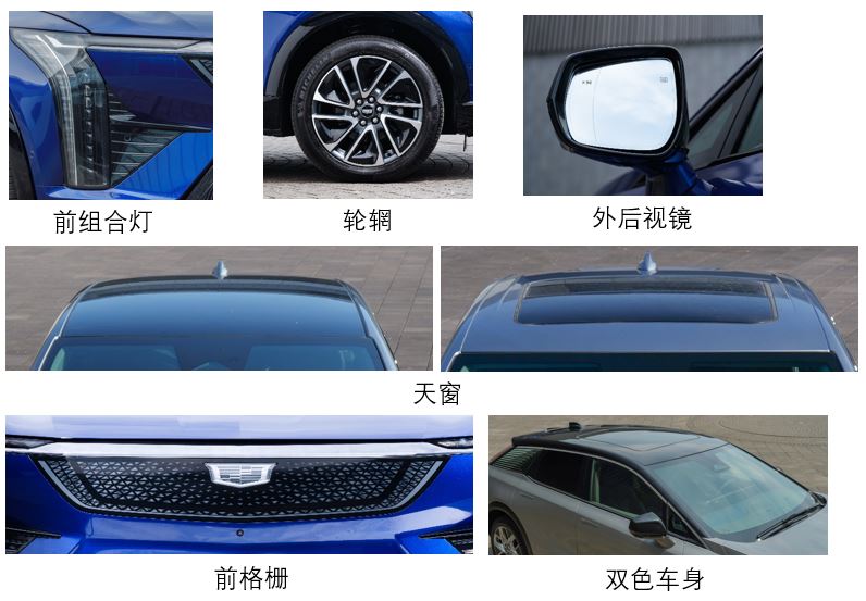 纯电动多用途乘用车图片