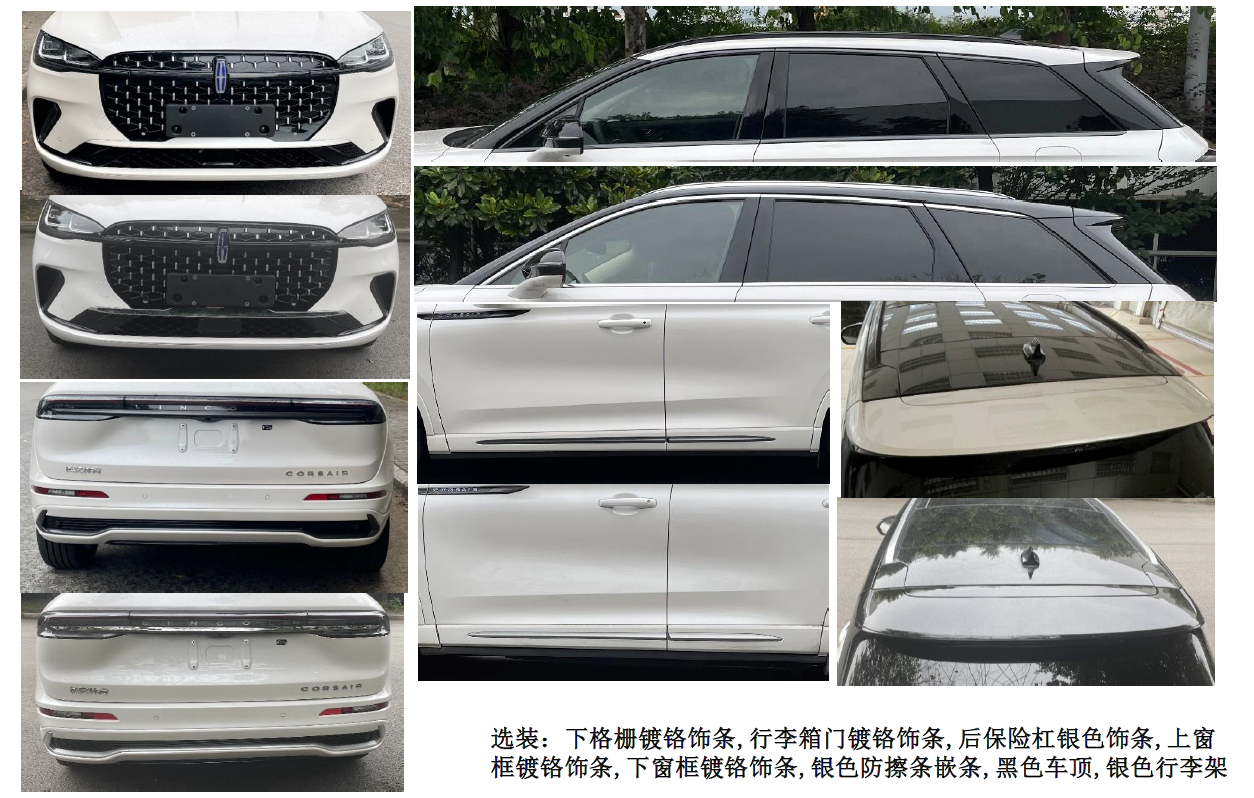 混合动力多用途乘用车图片