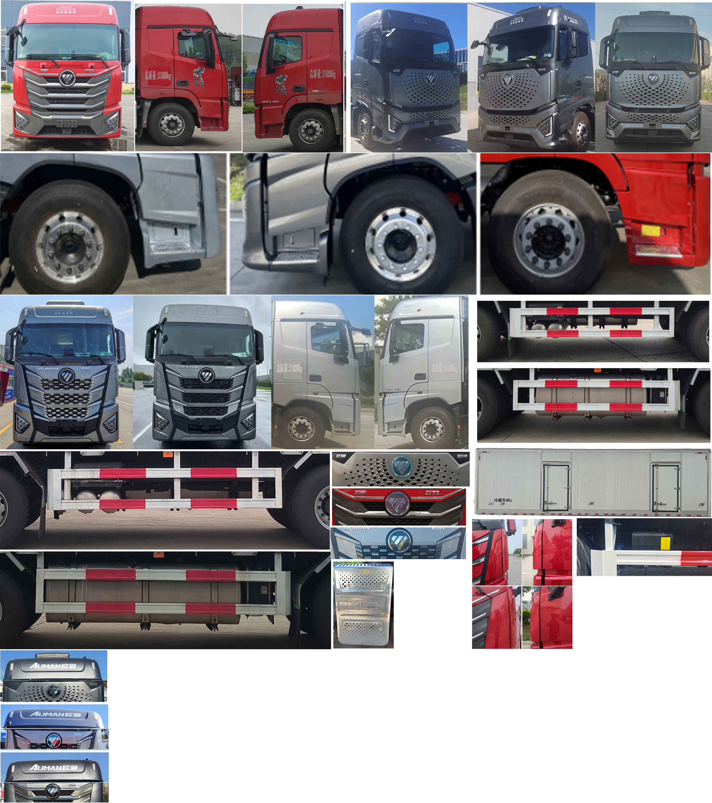 歐曼牌BJ5319XLCY6GRL-09冷藏車公告圖片